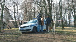 Чистота — залог здоровья