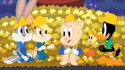 Porky Perfect Parade