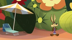 This Sand Is Your Sand