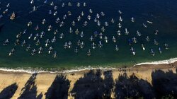 The Hunt for the Living Dinosaur