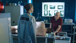 Светлый путь