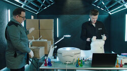 Кошки камикадзе