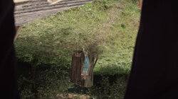 [151] 72.1 Свидетель обвинения