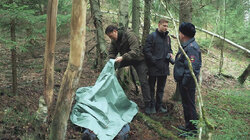 Ночь длинных клыков