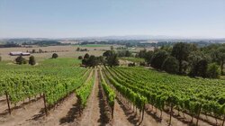 Extra Mile Club: Portland Pt. 2