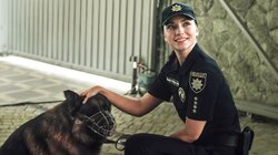 153. Очима собаки