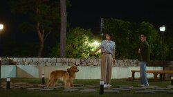 One Heck of a Summer Guest