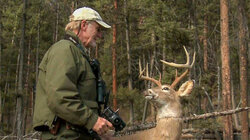 Catching the Antler Thieves