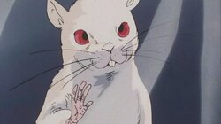 The Little Dictator! Let Sleeping Top Secrets Lie