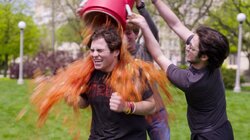 Everything Is Legal in Indiana