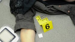 Granny's Fatal Fantasy