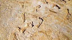 These Ancient Footprints Rewrite North American History
