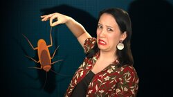 Popular Word Origins That Are Totally WRONG.