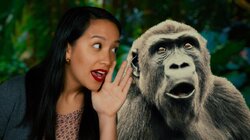 A Controversial Theory About Gossip