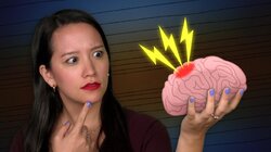 What Brain Damage Reveals About Language