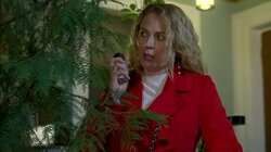 Любовь, похожая на стон