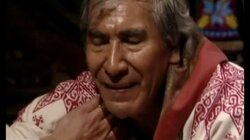 Con perdon todo florece