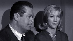 Hazel, the Tryst-Buster