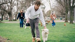 You And Me And The Dog Makes Three