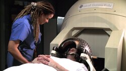 It's All In Your Head