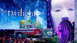 Twilight Night