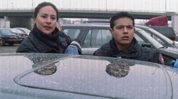 A Boy Falling Out of the Sky