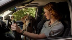 Fugitive in the Wild