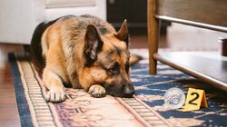 Heist for the Holidays (Part 1)