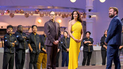 Spoiled for Stroganoff