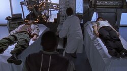 Children of the Night