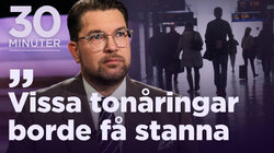 Jimmie Åkesson (SD)