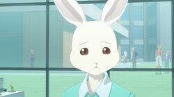 Gotta Buy a Step Stool