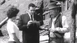 Erle Stanley Gardner's The Case of the Drowsy Mosquito