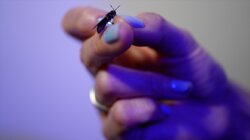 Inside the High-Tech Insect Farm