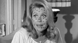 Take Two Aspirin and Half a Pint of Porpoise Milk