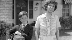 A Strange Little Visitor