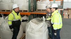 Elemental Crisis | Turning the Ship Around | The Dog Aging Project