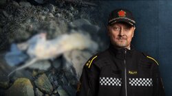 Hund mishandlet og drept