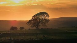 Northumberland