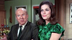 Nobody But a Frog Knows How to Live