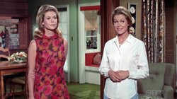 That Was No Chick, That Was My Wife