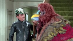 Allergic to Macedonian Dodo Birds