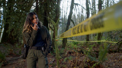 The Last Coordinates