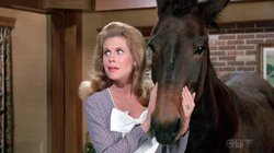 Daddy Does His Thing