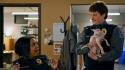 Scaredy Cats and Card Sharks