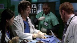 From Here to Paternity