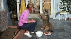 Samantha's Pet Warlock