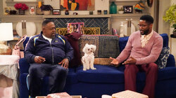 Welcome to the Purse Dog