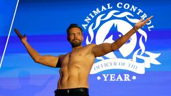 Golden Moose and Wiener Dogs