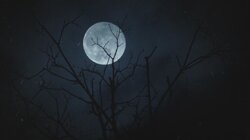When Darkness Falls